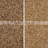 2017 Intelligent Image Double Side Ccd Camera Seed Color Sorter thumbnail-2