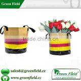 Home Decorative Flower Hydroponics Planters thumbnail-1