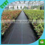 Temporary Used Anti Root Mat Recycled pp Plastic Weed Mat,cheap Ground Cover Fabric,black Weed Control Cloth With Green Stripe thumbnail-4