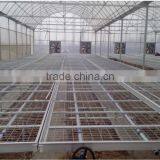 Good Quanlity Beach System for Greenhoues thumbnail-1