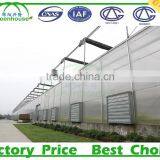 Long Life Span Polycarbonate Greenhouse Panels for Sale thumbnail-3