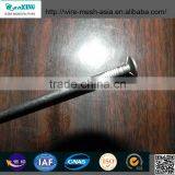 Flat Head Stainless Steel Commom Nail Screw Nails thumbnail-2