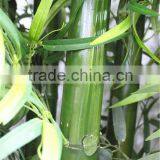 Home Garden Dry Decoration 250cm Height Artificial Outdoor Green Lucky Bamboo EZZ06 0203 thumbnail-2