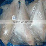 Frozen Leather Jacket Fish Whole Round thumbnail-3