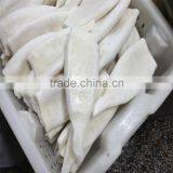 Interleaved Pacific Squid Tube (Todarodes Pacificus) thumbnail-3