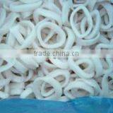 Frozen Whole Round Squid/ Frozen Squid/ Vietnam Seafood thumbnail-3