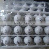 Bingo Set thumbnail-3