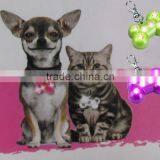 Bone Pet Led Light thumbnail-1