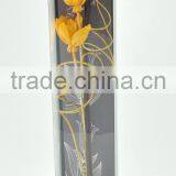 Colored Sola Flower + Curled Stick/ Rattan Stick