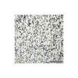 Sell Granite Countertop Slab (Jilin White) thumbnail-1