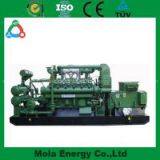 10KW New Energy Gas Generator for Industry With Green Color thumbnail-2