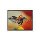 Wall Mount Professional CCTV Monitor Built In VGA / BNC / HDMI Input