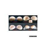 Sell Silicone Adhesive Bra thumbnail-1