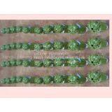 Single Cone Bits thumbnail-2