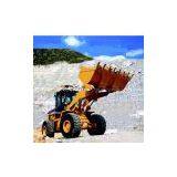 Wheel Loader 856RR
