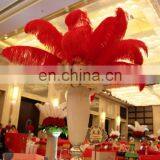 Wholesale South Africa Ostrich Feathers for Decoration Wedding Ostrich Feathers thumbnail-1