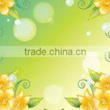 3-8mm Clear and Colored Patterned Glass (Puzzle, Flora, Nashiji, Moru-II, Chinchilla, Kasumi, Morgan-II Etc.)