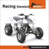 250cc Big Power Racing Quad Motorbike thumbnail-1