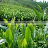 Changchun Jinsheng Zhuoyu Trading Co., Ltd. company overview - view 2 thumbnail