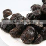 Tuber Magnatum Truffle Mushroom Best Price thumbnail-3