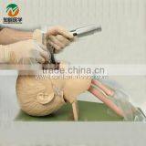 Advanced Child Trachea Intubation Manikin BIX-J4A Quality Choice thumbnail-1
