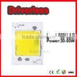 50w COB LED 220V AC Led Chip, 3040 50W Integrated Driver for Street Light,