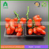 Blister Disposable Plastic Fresh Tomato Vegetable Tray thumbnail-2