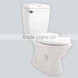 Ceramic Water Closet (2 Piece/Dual Flush/Nano Finish/S Trap) thumbnail-1
