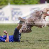 High Quality Hot Selling Dog Flying Disc Frisbee