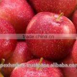 Apple Fruit Juice Powder / Apple Powder Spray Dried / Apple Fruit Juice Powder thumbnail-3