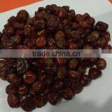 Round Chilli From SouthIndia thumbnail-4