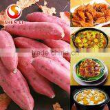 Natural Sweet Potatos Chips--Ready to Eat Chinese Healthy Snacks thumbnail-3