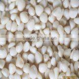 Pickled Garlic Cloves thumbnail-1