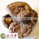 Free Shipping Premium Dried Flower Shiitake Mushroom China Spawn Cultivation
