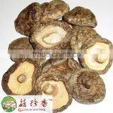 AA Quality Tea Flower Shiitake thumbnail-2