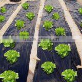 PE Agricultural Mulching Film With Holes thumbnail-4