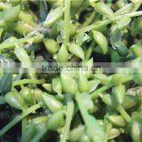 Home Garden Decoration 40cm Height Green Lover Tears Grass Vine EQRL04 0804 thumbnail-2