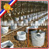 Non Woven Fabric Tomato Grow Bag thumbnail-1