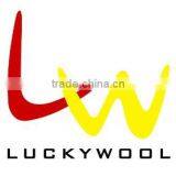 Zhangjiagang Luckywool Fashion Inc. company overview - view 1 thumbnail