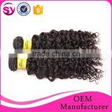 Wholesale Double Weft Can be Permed 8"-30" Mongolian Kinky Curly Virgin Hair Different Types of Curly Weave Hair thumbnail-2