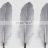 artificials feather for decoration and party