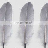 Artificials Feather for Decoration and Party thumbnail-1