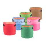 Eco-friendly Felt Grow Bags for Plants thumbnail-6