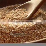 PREMIUM INDIAN SESAME SEED