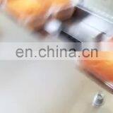 Horizontal Pillow Packing Machine for Aseptic Catheterization Bag