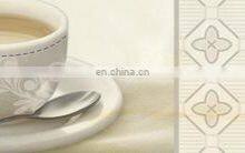 300x600mm Italian Design Exterior Wall Tile Discontinued Ceramic Floor Tile thumbnail-5