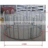 Sheep Feed Ring Without Plate / Cattle Feeder