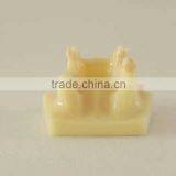 Dental Teaching Model,Human Dental Teaching Models,Dental Implant Model thumbnail-3