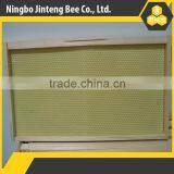 Assembled High Quality Beekeeping Pine Wooden Frame With Plastic Foundation for Beehive