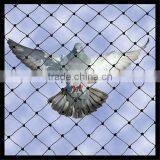 UV Stabilized for Antibird Nets | Antibird Protection thumbnail-4